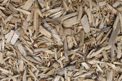 biomass boilers Lepe